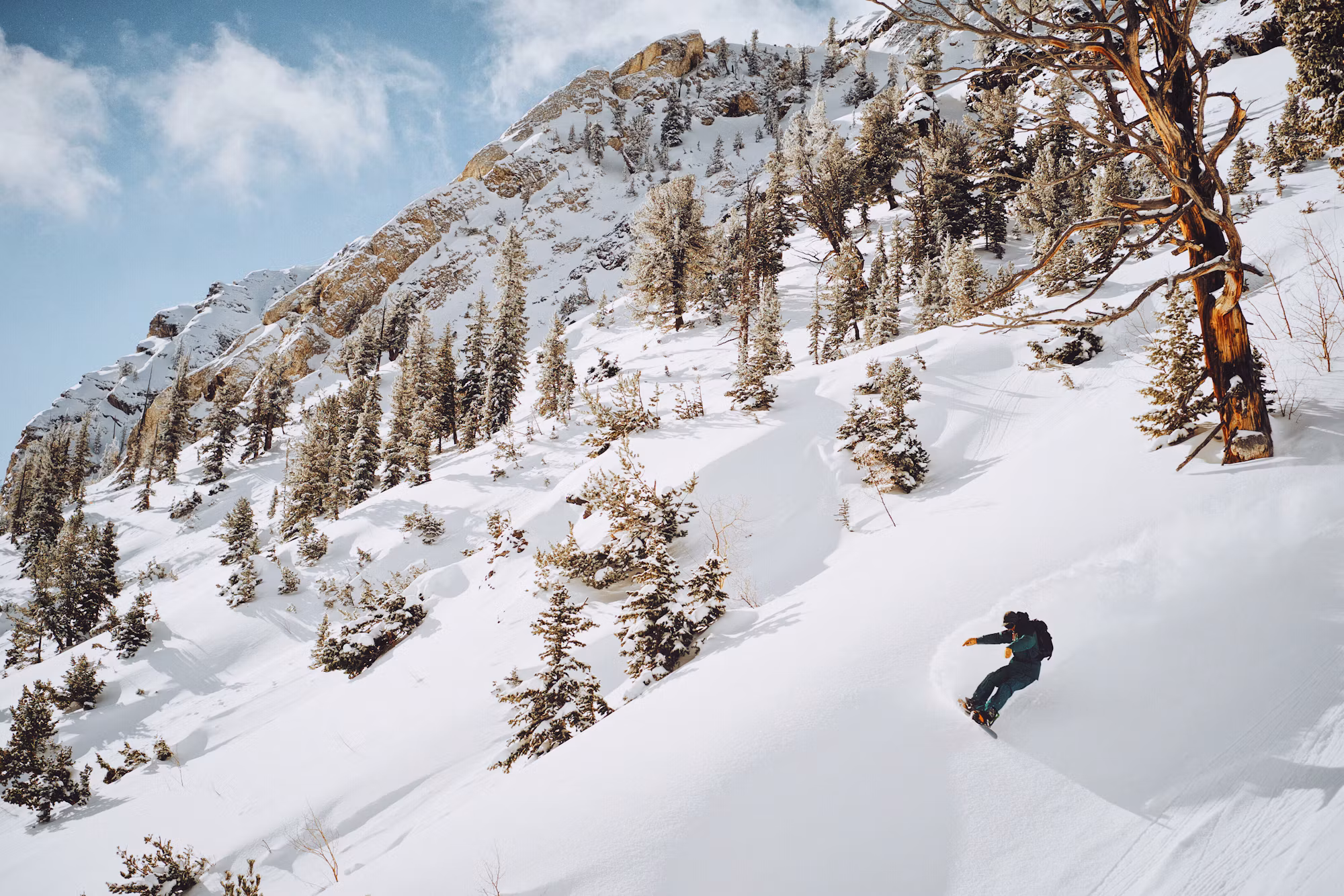 Embracing the Snow: A Comprehensive Guide to Snowboarding Styles and Techniques