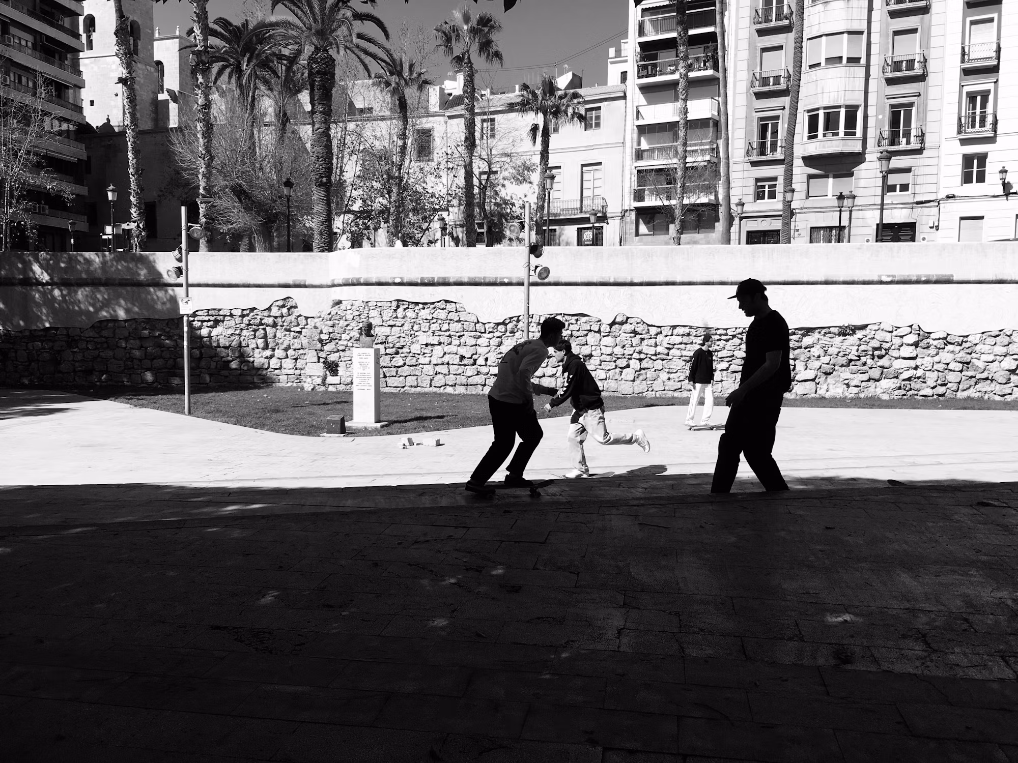 Carving the Future: The Rise of Longboarding